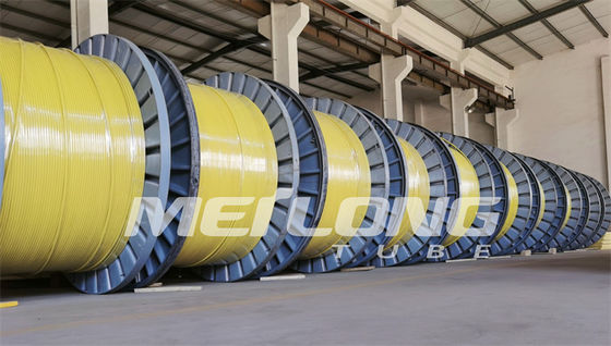 UNS S32750 поместило нейлон линии управления супер двухшпиндельный 2507 Rilsan