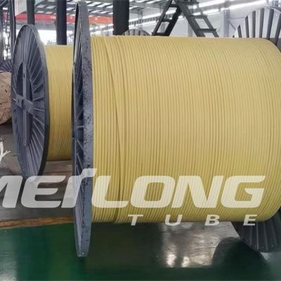 TP316L PVDF поместило линию управления Flatpack с давлением 2 трубок высоким
